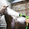 HORSE WATER SPRAY PIPE